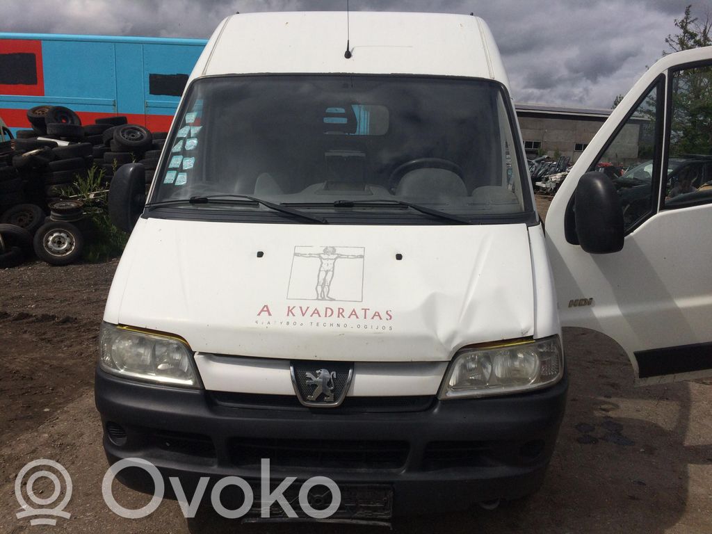 Boxer Boxer  A235