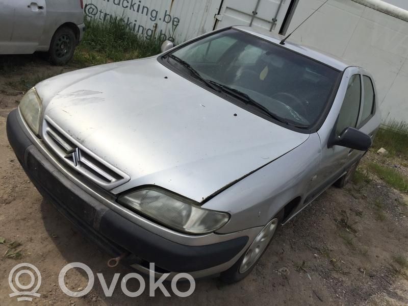 Xsara Xsara, Xsara Picasso  SIDABRINIS