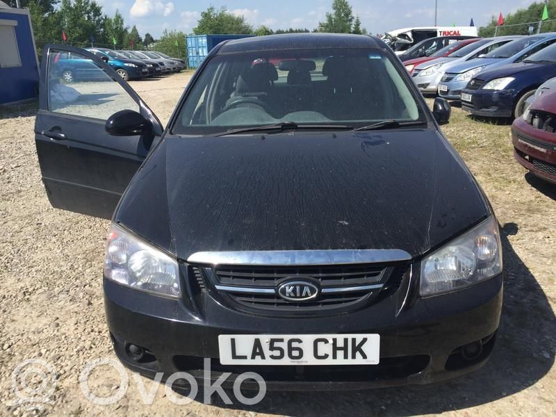 Cerato Cerato  5909