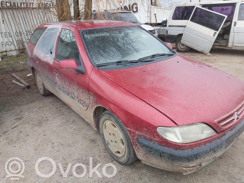 Xsara Xsara, Xsara Picasso
