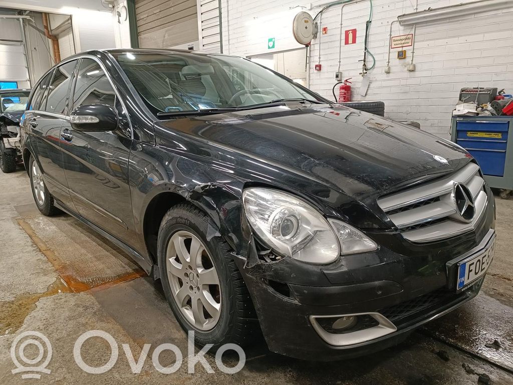 R W251 R-class, AMG (W251)  74284600