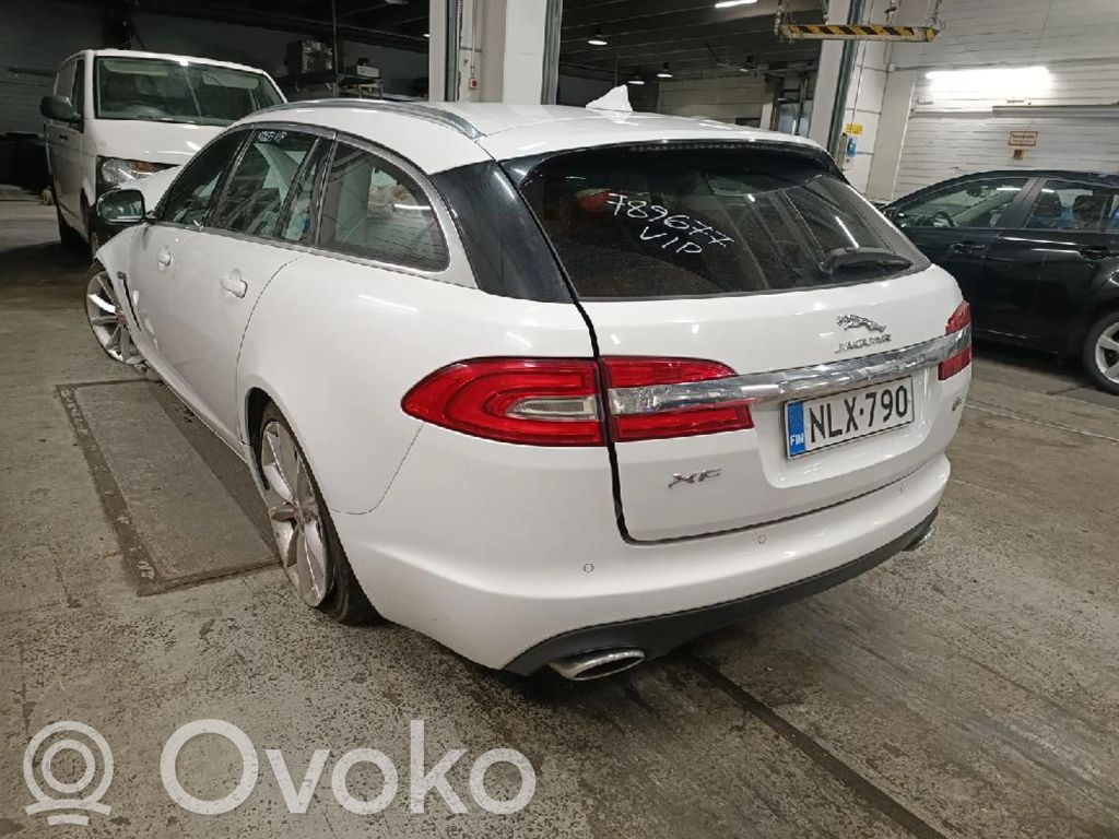 XF XF  1928404687