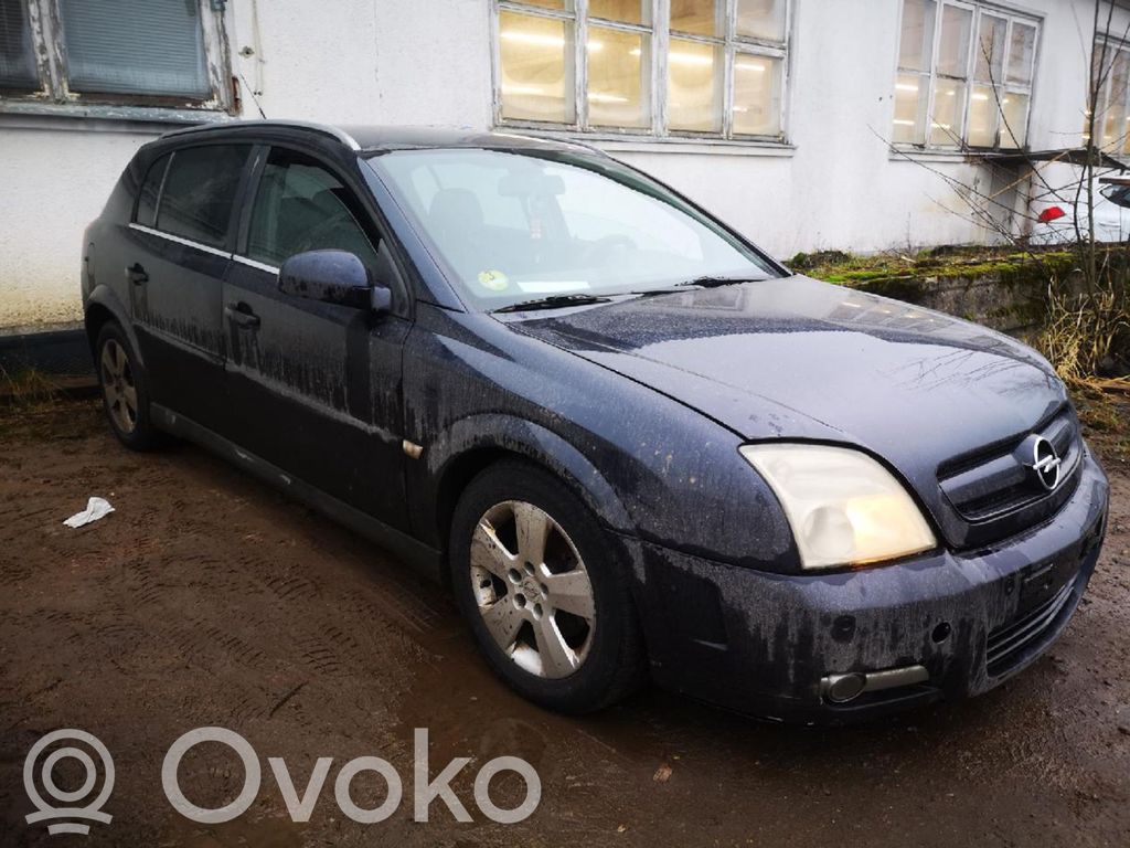 Signum Signum  V046403103