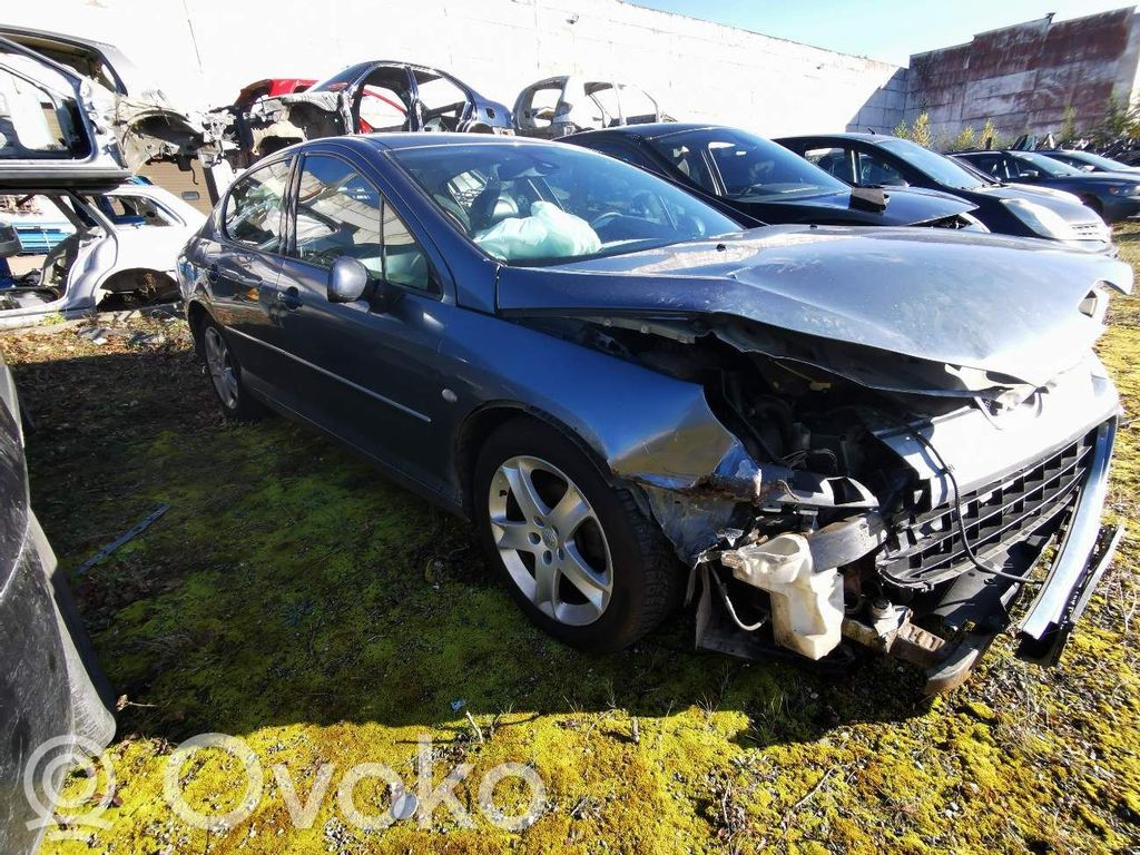 407 407  5WS40167AT