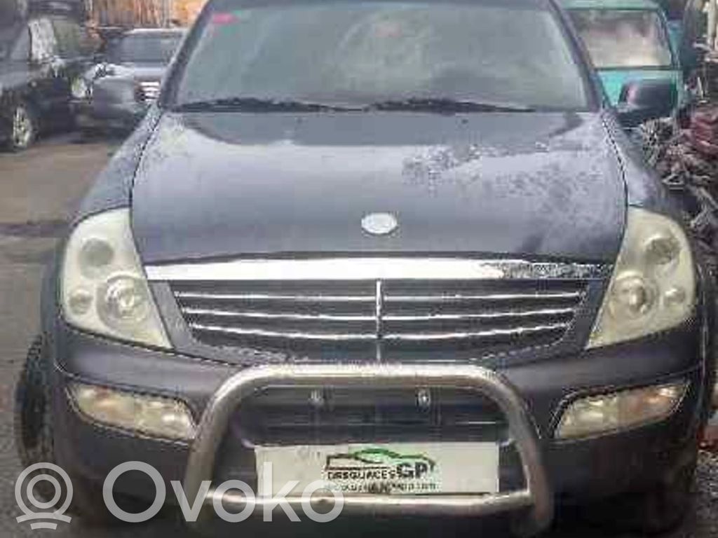 Rexton Rexton