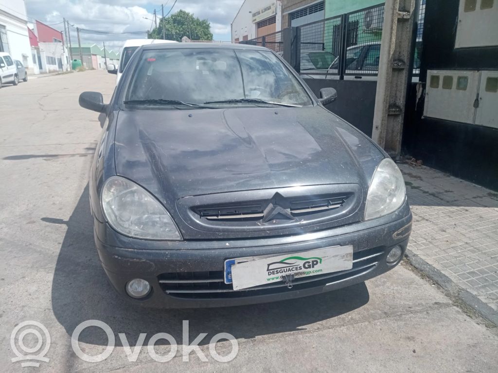 Xsara Xsara, Xsara Picasso