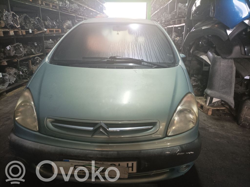 Xsara Xsara, Xsara Picasso