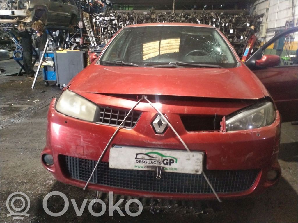 Megane II Megane  8200391966