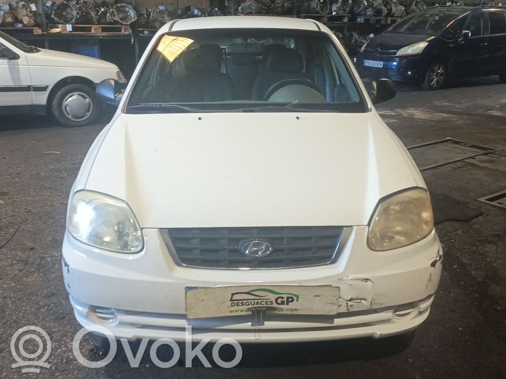 Accent Accent  3730027504
