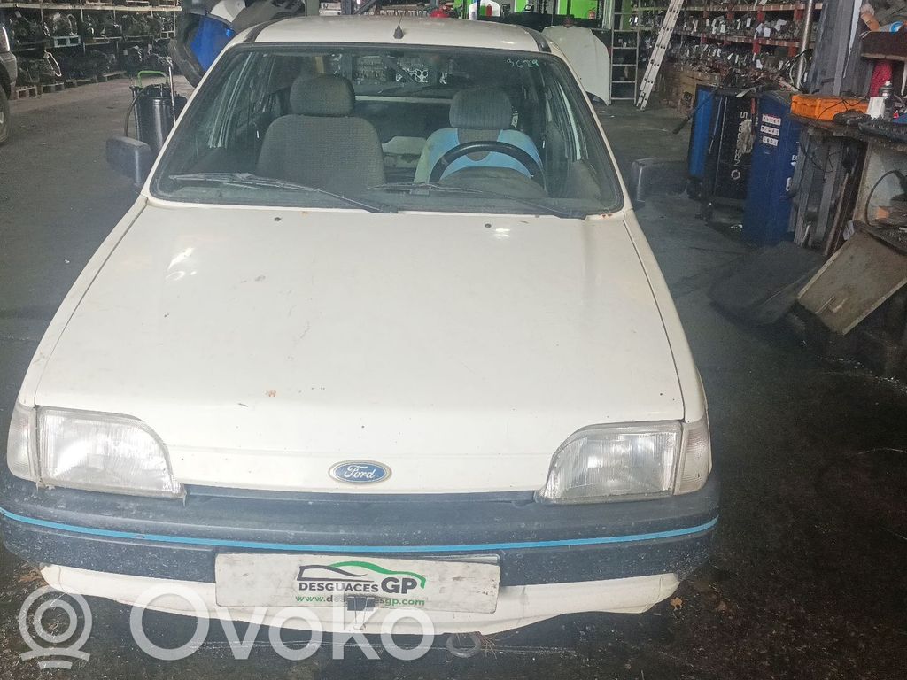 Fiesta Fiesta  91FF6090AA
