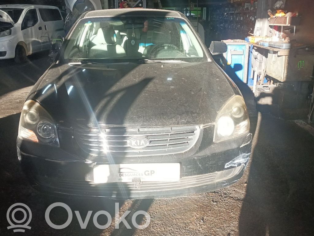 Magentis Magentis