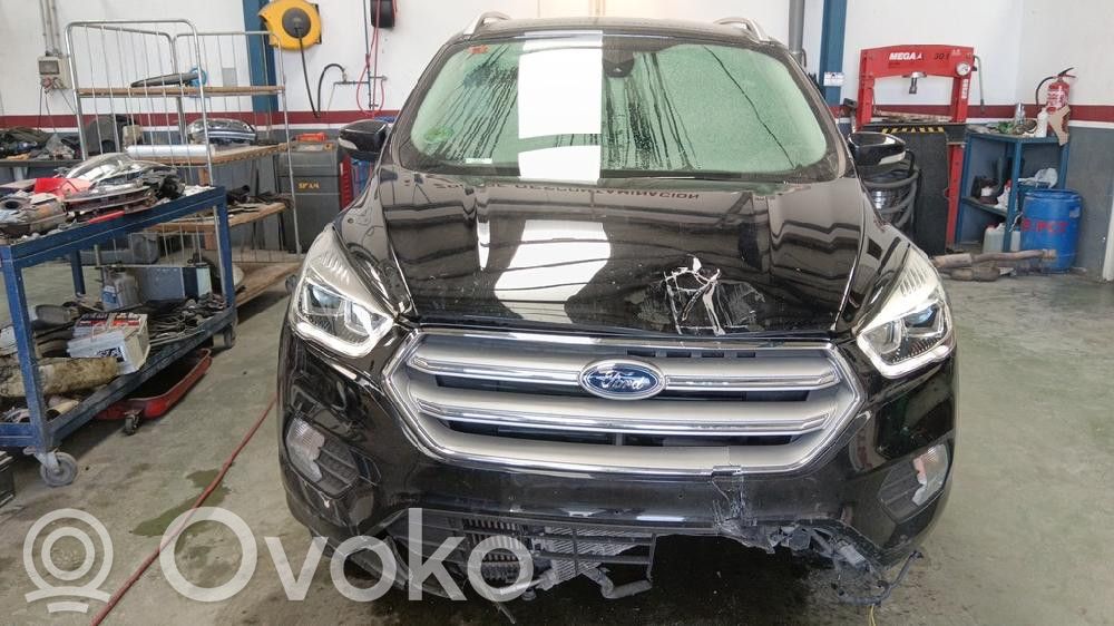 Kuga II Kuga