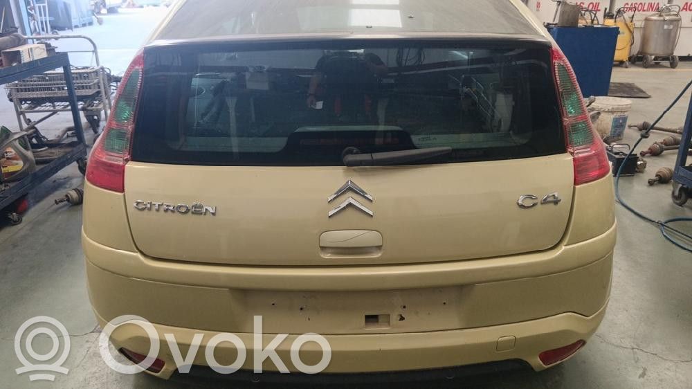 C4 I C4 Picasso, Grand Picasso, Aircross, Cactus  96514644277