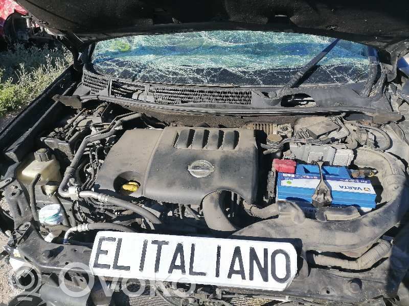 Qashqai+2 Qashqai, Qashqai+2  0281014859