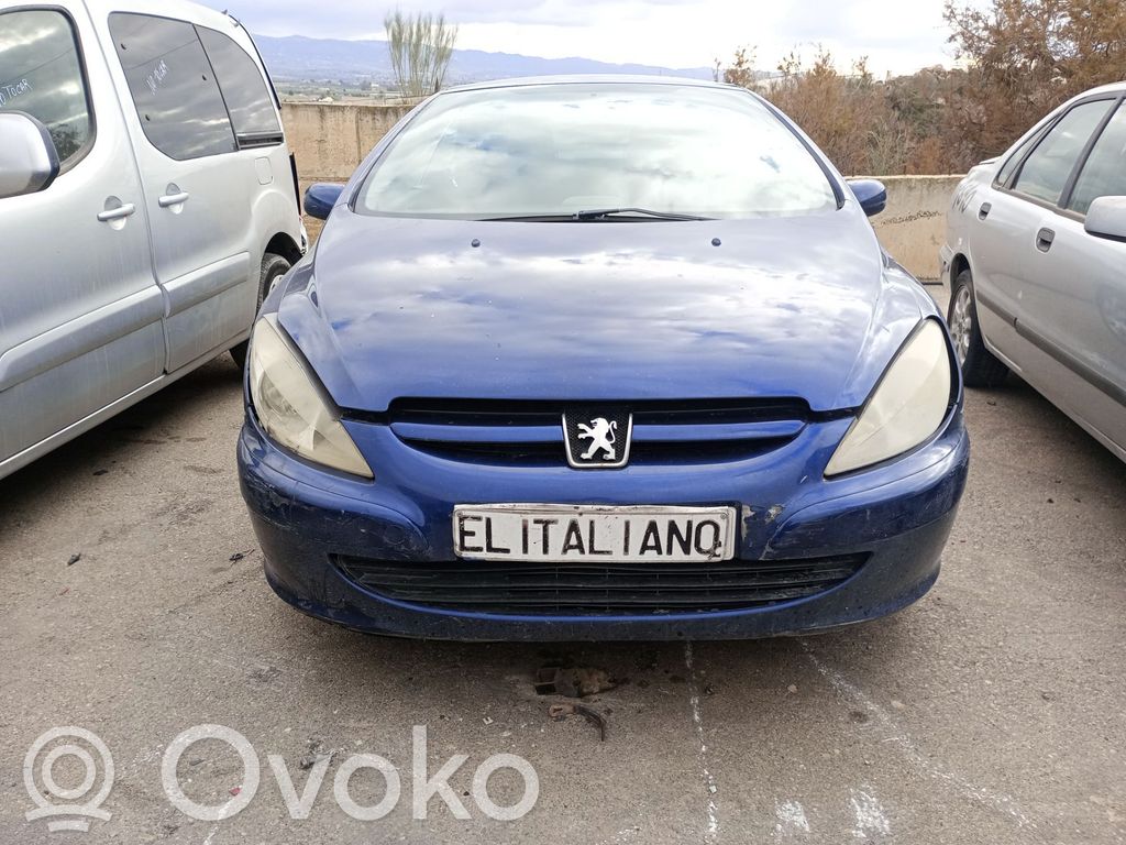 307 307  9651626280