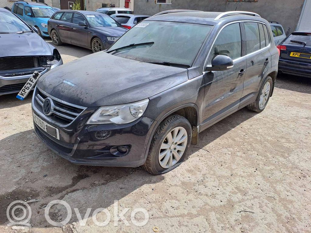 Tiguan Tiguan