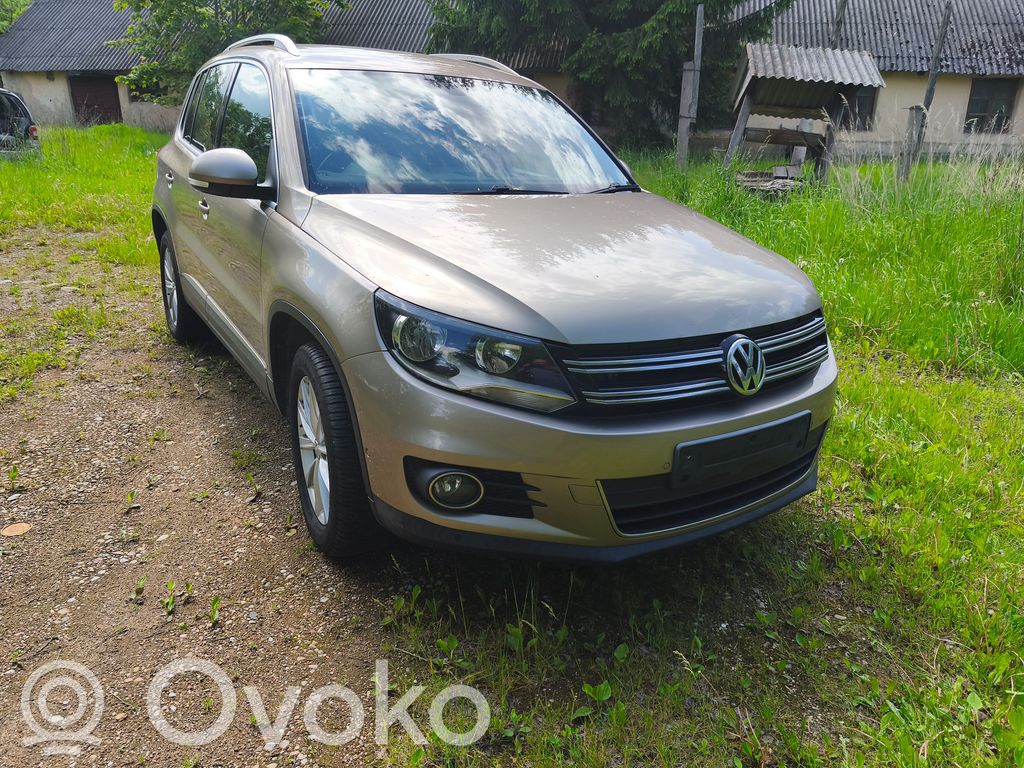 Tiguan Tiguan