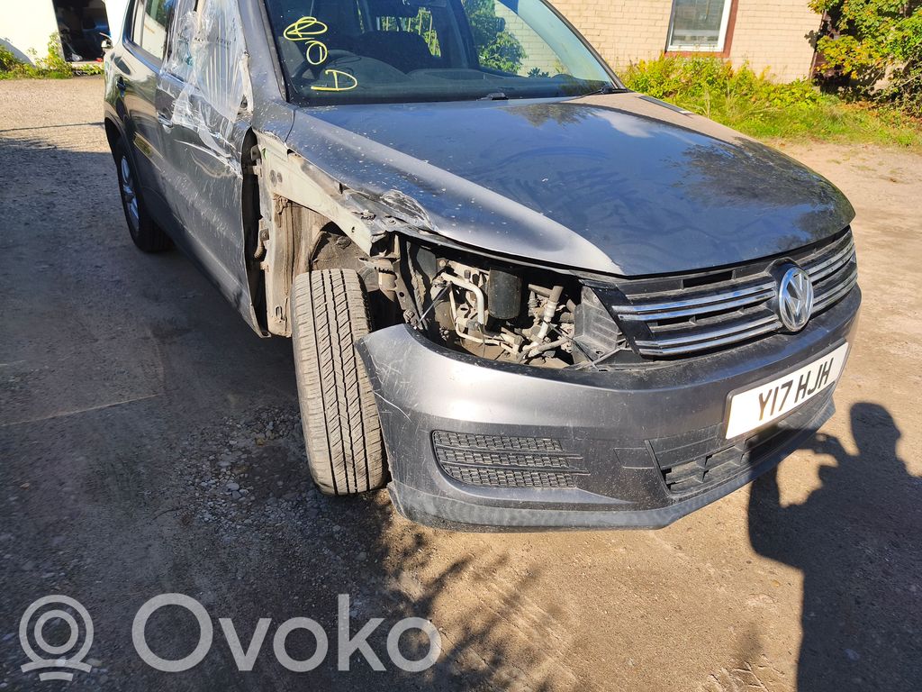 Tiguan Tiguan