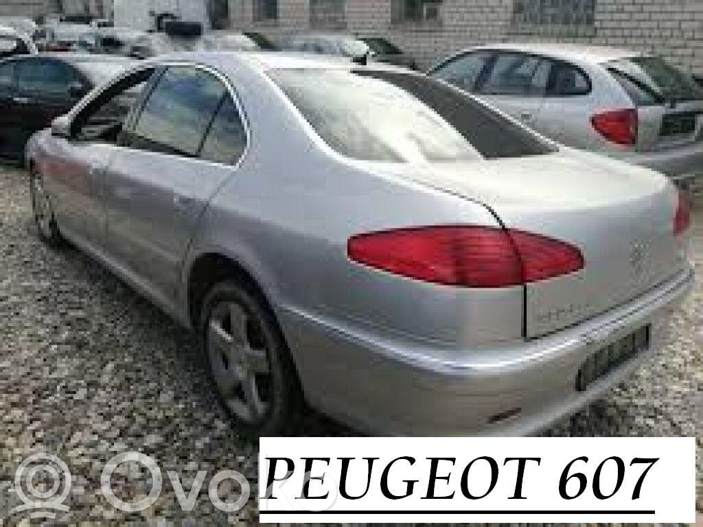 607 607  48381