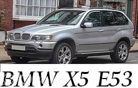 X5 E53 X5  7691974517