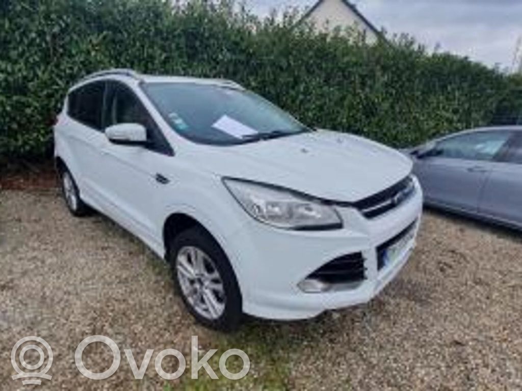 Kuga II Kuga  1793237