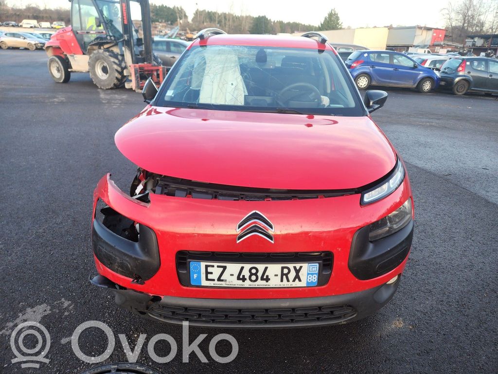 C4 Cactus C4 Picasso, Grand Picasso, Aircross, Cactus  9801070080