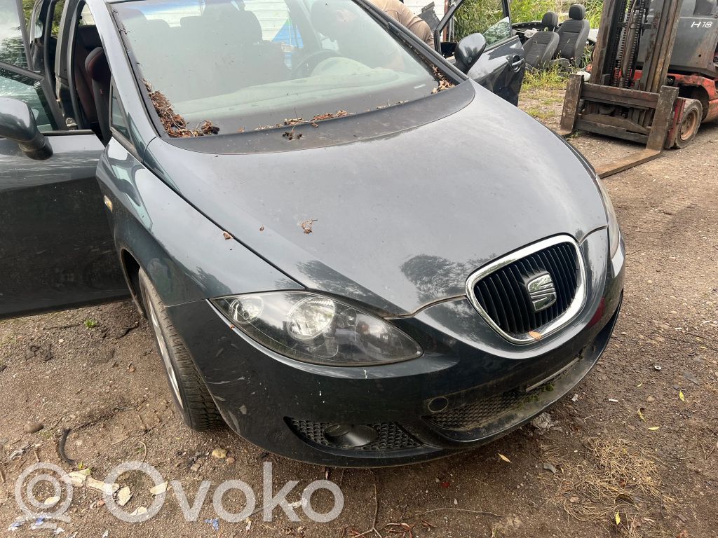 Leon (1P) Leon  1K0199231K