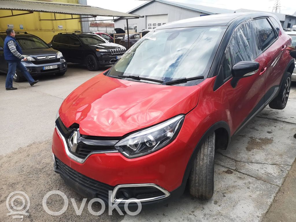 Captur Captur  490018503R