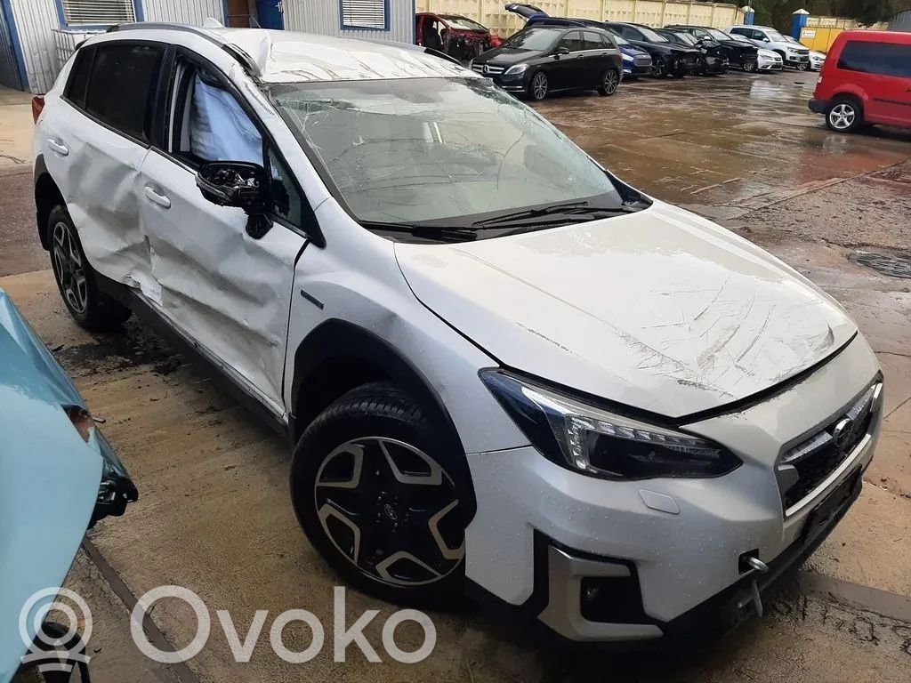 XV XV