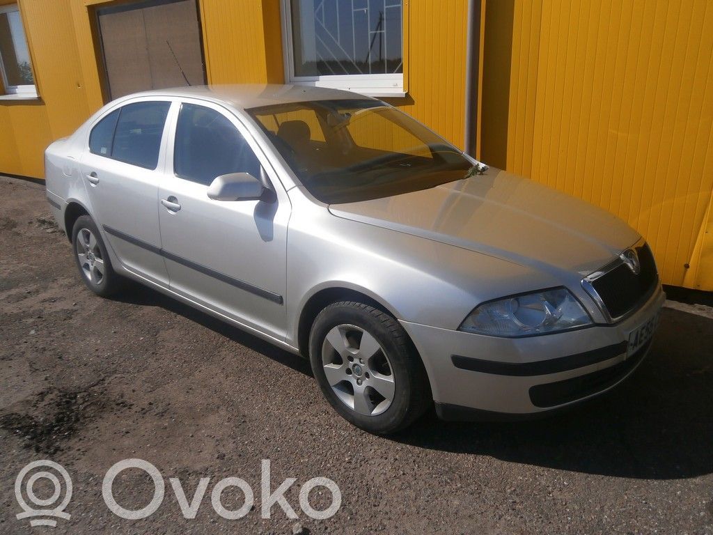 Octavia Mk2 (1Z) Octavia  RM1425872272SK