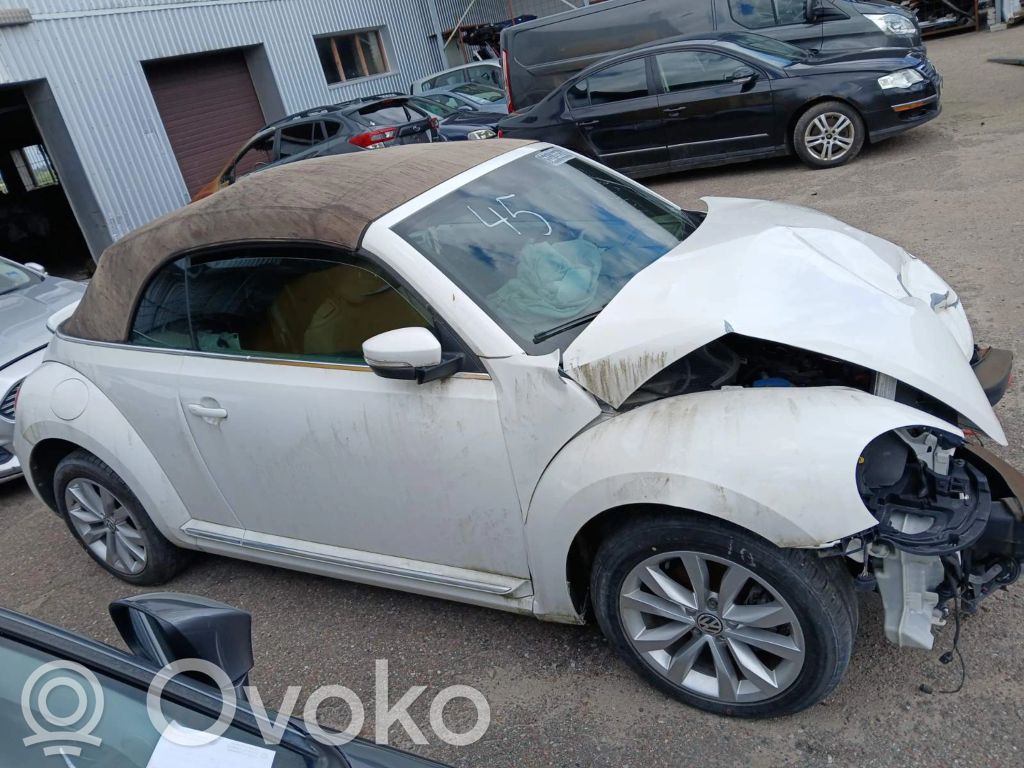 Beetle A5 Beetle