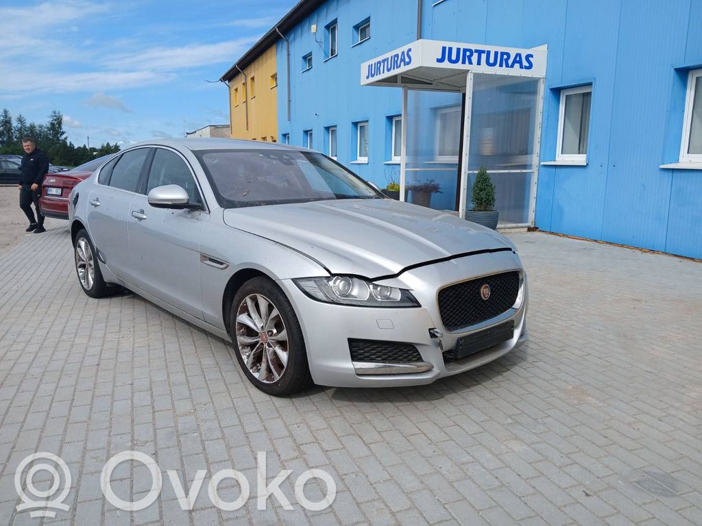 XF X260 XF  G4D38575AD