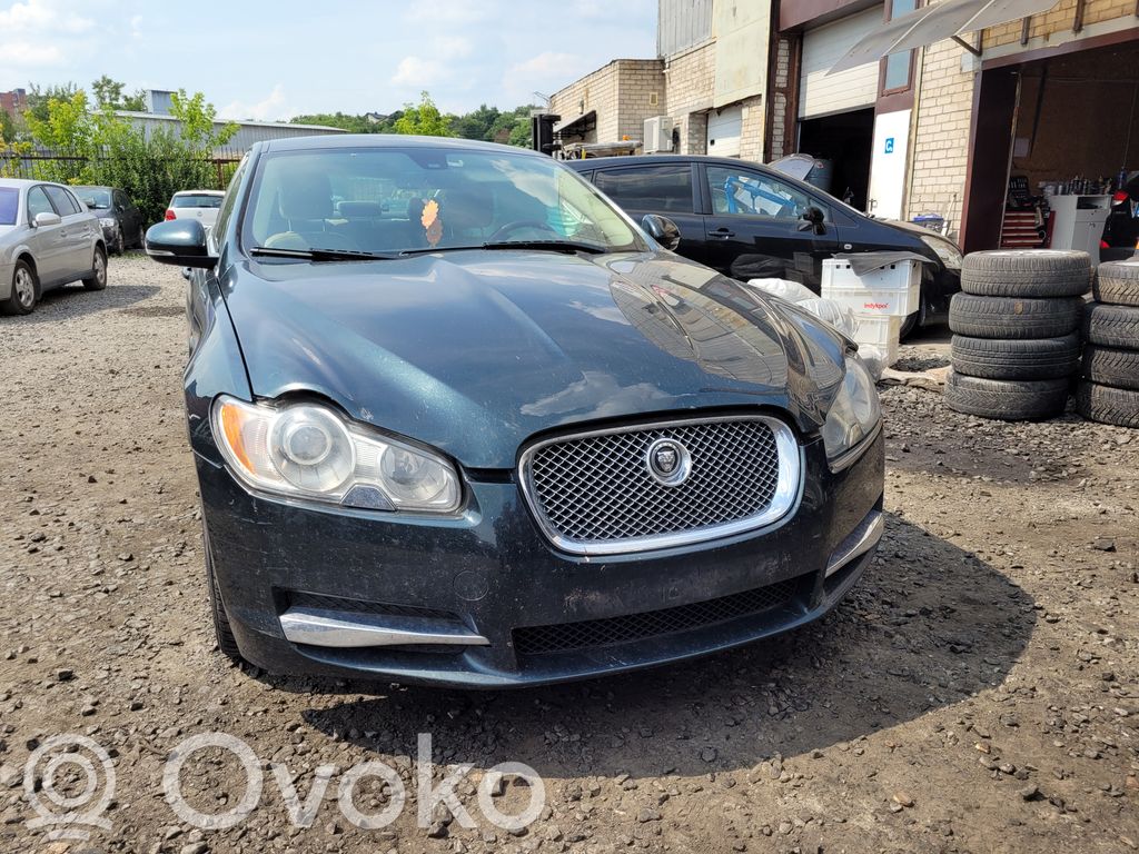 XF XF  0281004125