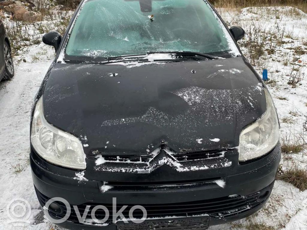 C4 I C4 Picasso, Grand Picasso, Aircross, Cactus  215983373