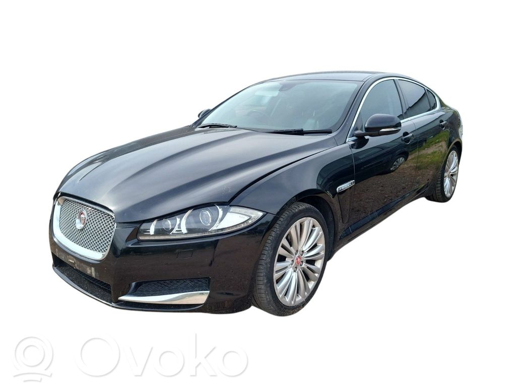 XF X250 XF  DX237E453DB