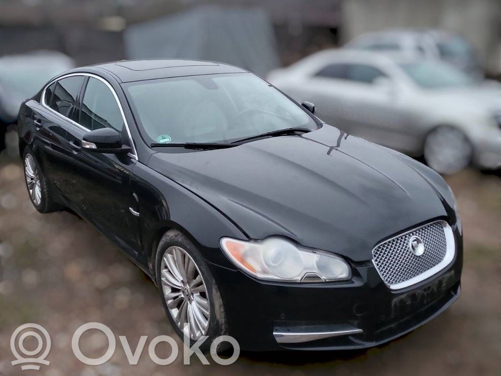 XF X250 XF  8X23F611B69AC