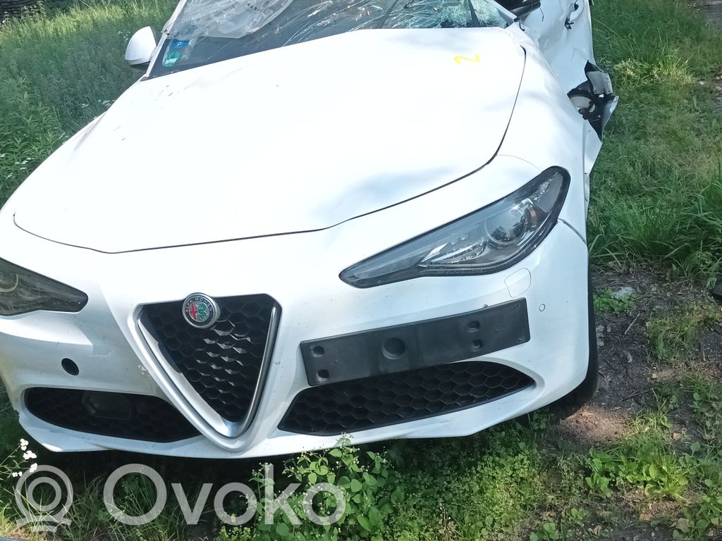 Giulia Giulia  55268427