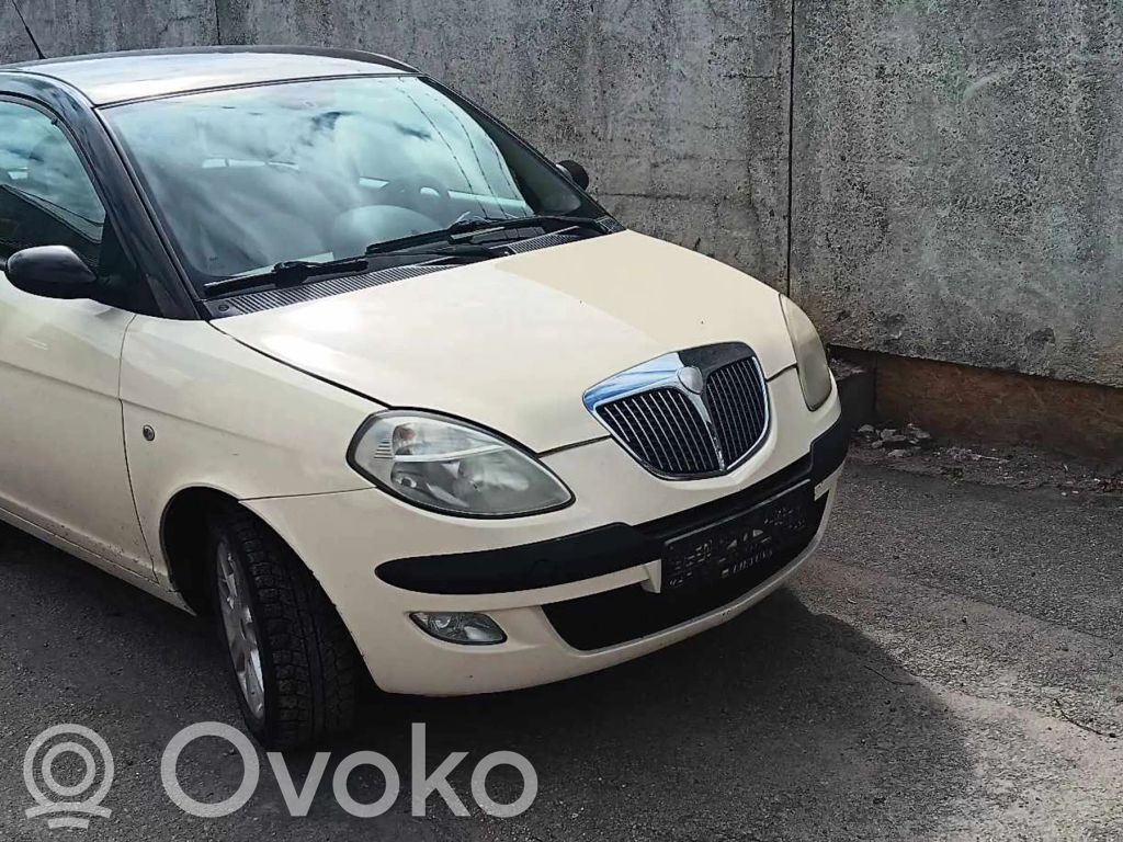 Ypsilon Ypsilon