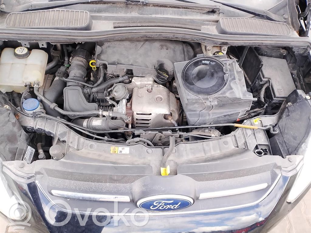 Grand C-MAX Focus C-MAX, C-MAX, Grand C-MAX