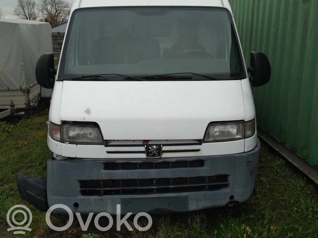 Boxer Boxer  35700747