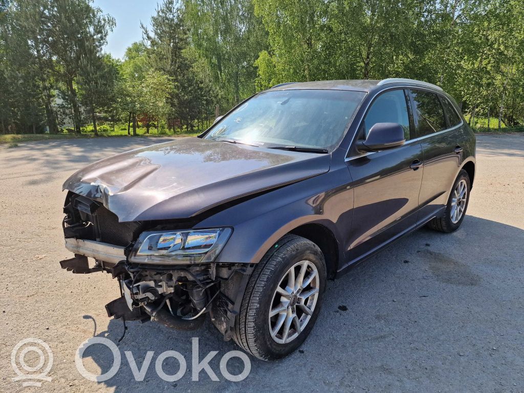 Q5 SQ5 8R Q5, SQ5  8K0199308