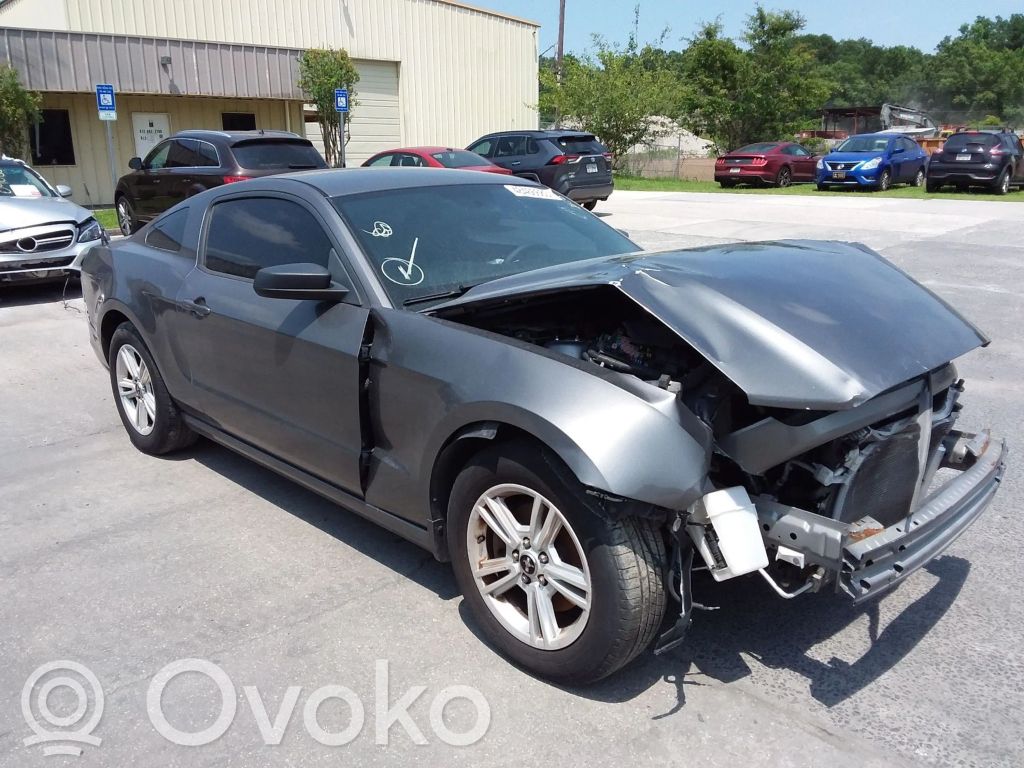 Mustang V Mustang  DR3317A950ACW
