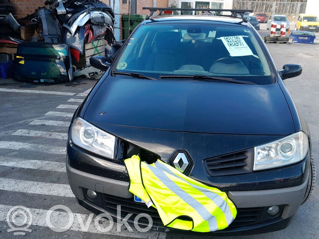 Megane II Megane  231007157R