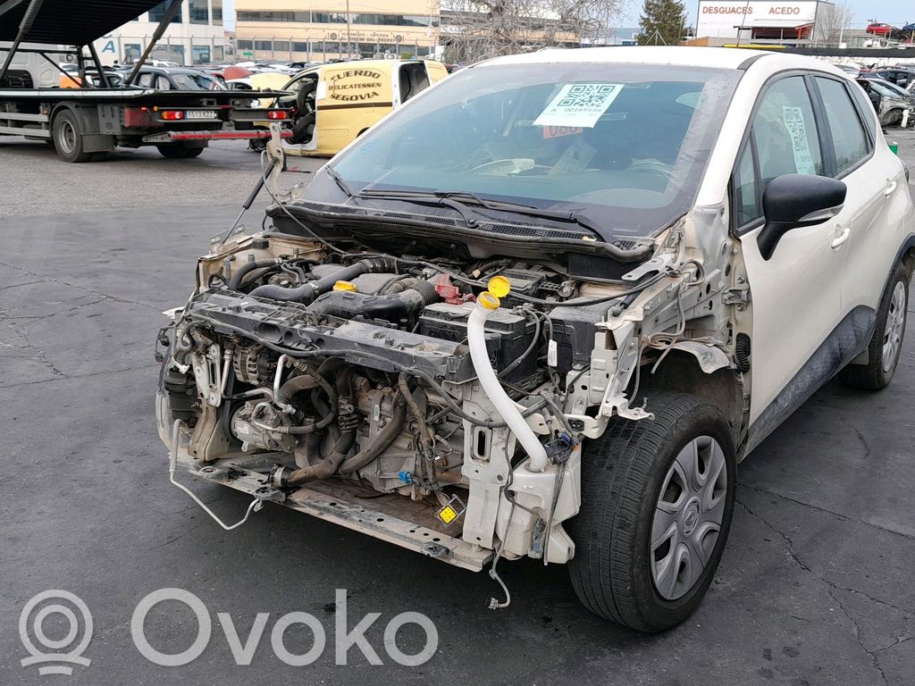 Captur Captur  255679704R