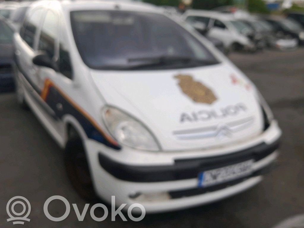 Xsara Xsara, Xsara Picasso
