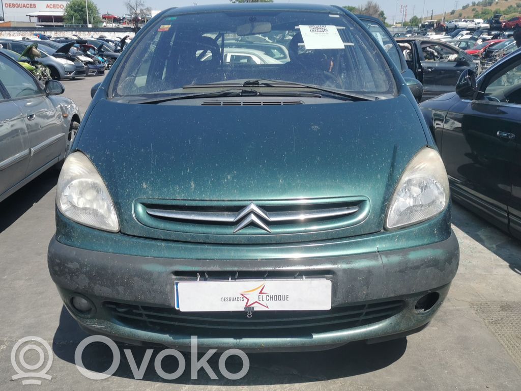 Xsara Xsara, Xsara Picasso