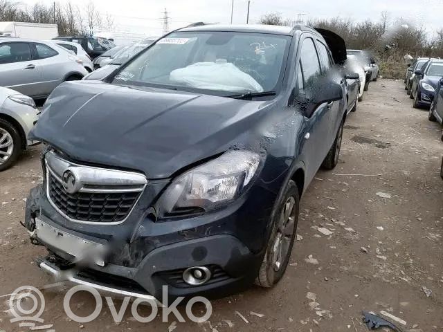 Mokka Mokka  AXB18966