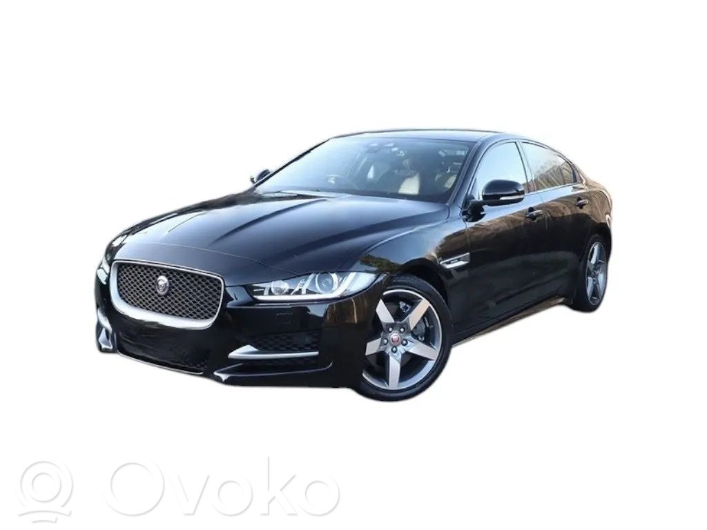 XE XE  GX7M3F563CC