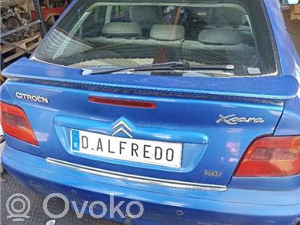 Xsara Xsara, Xsara Picasso