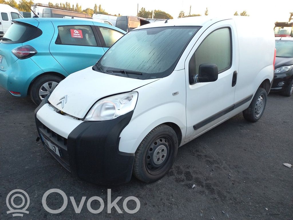 Nemo Nemo  1687995480